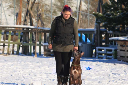 30.11.25 SKerzal  & Weihnachtsfeier